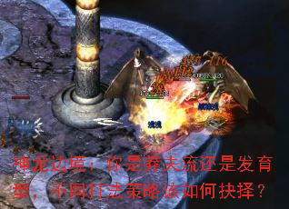 神龙边境：你是莽夫流还是发育型，不同打法策略该如何抉择？