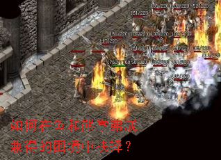 如何在鱼和熊掌弗成兼得的困境中抉择？