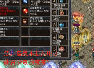 法师兽灵术怎么用才能召唤最强宝宝？