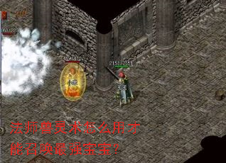 法师兽灵术怎么用才能召唤最强宝宝？