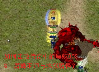 如何击败传奇中的魔蛛BOSS：魔蛛巫师与地狱魔怪？