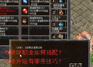 传奇SF职业如何搭配？技能升级有哪些技巧？