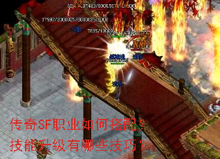 传奇SF职业如何搭配？技能升级有哪些技巧？