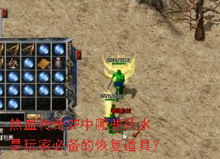 热血传奇SF中哪些药水是玩家必备的恢复道具？