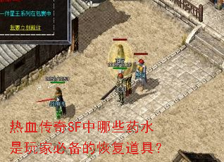 热血传奇SF中哪些药水是玩家必备的恢复道具？