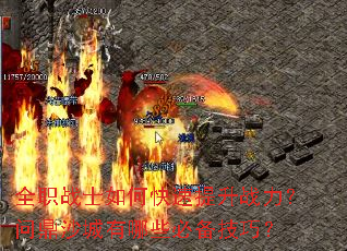 全职战士如何快速提升战力？问鼎沙城有哪些必备技巧？