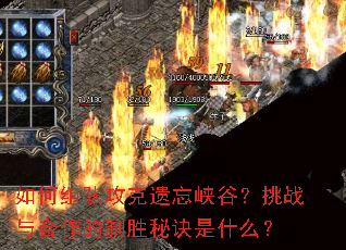 如何组队攻克遗忘峡谷？挑战与合作的制胜秘诀是什么？