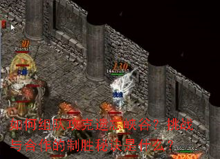 如何组队攻克遗忘峡谷？挑战与合作的制胜秘诀是什么？