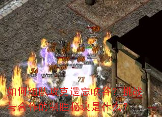 如何组队攻克遗忘峡谷？挑战与合作的制胜秘诀是什么？