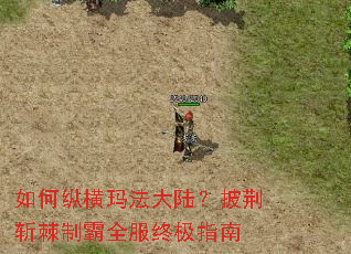 如何纵横玛法大陆？披荆斩棘制霸全服终极指南