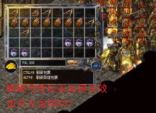 嘟嘟传奇玩家如何高效击杀火龙BOSS？