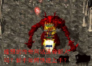 理想的传奇网站适合新人吗？新手如何快速上手？