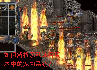 如何解析沉默冰雪版本中的宠物系统？