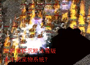 如何解析沉默冰雪版本中的宠物系统？