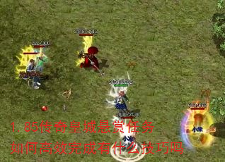 1.85传奇皇城悬赏任务如何高效完成有什么技巧吗