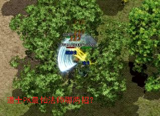 道士PK最怕法师哪两招？