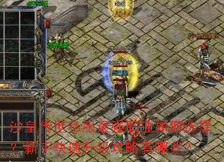 沙皇传世私服最强职业如何选择？新手快速升级攻略有哪些？