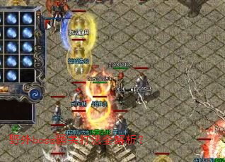 野外boss通关打法全解析？