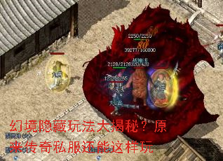 幻境隐藏玩法大揭秘？原来传奇私服还能这样玩