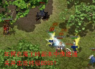 如何在魔王岭副本中快速通关并击败终极BOSS？