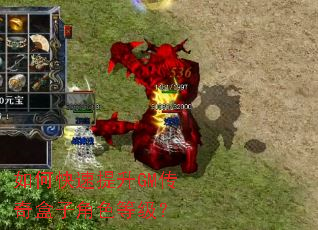 如何快速提升GM传奇盒子角色等级？