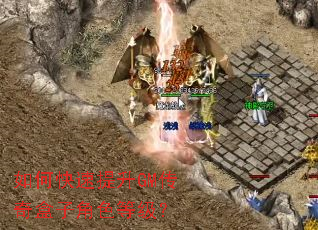 如何快速提升GM传奇盒子角色等级？