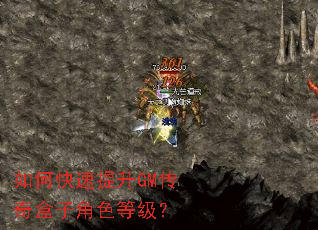 如何快速提升GM传奇盒子角色等级？