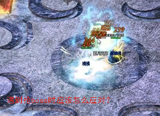 遇到抢boss时应该怎么应对？