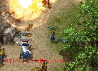 遇到抢boss时应该怎么应对？