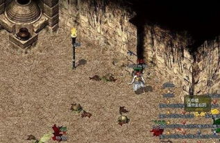 网通传奇私服,经典复古游戏的另类选择-全面解析与安全指南