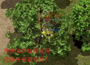 传奇法师如何发挥优势并规避短板？