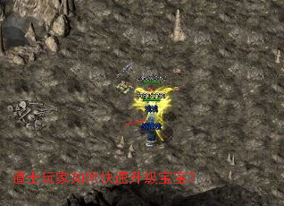 道士玩家如何快速升级宝宝？