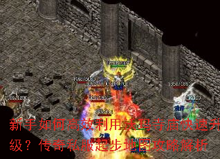 新手如何高效利用沃玛寺庙快速升级？传奇私服起步地图攻略解析