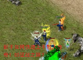 新手如何快速上手散人传奇1.85征战之路？