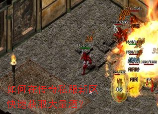 如何在传奇私服新区快速获取大量酒？