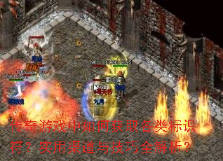 传奇游戏中如何获取各类标识符？实用渠道与技巧全解析？