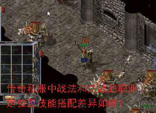 传奇私服中战法和法战的职业定位及技能搭配差异如何？