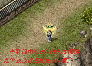 传奇私服中战法和法战的职业定位及技能搭配差异如何？