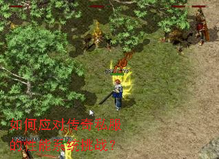 如何应对传奇私服的性能系统挑战？