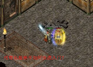 传奇私服新手如何快速入门？