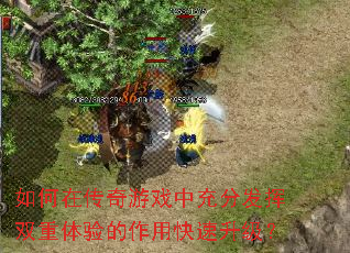 如何在传奇游戏中充分发挥双重体验的作用快速升级？
