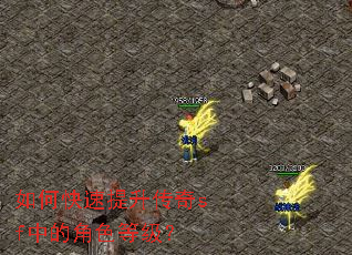 如何快速提升传奇sf中的角色等级？