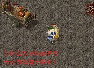 为什么很多玩家在传奇中选择道士职业？