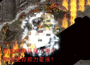 热血传奇私服中哪个职业生存能力最强？