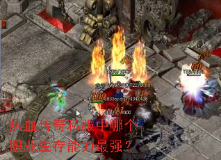 热血传奇私服中哪个职业生存能力最强？