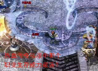 热血传奇私服中哪个职业生存能力最强？