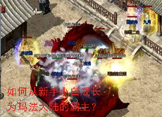 如何从新手小白成长为玛法大陆的霸主？