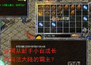 如何从新手小白成长为玛法大陆的霸主？