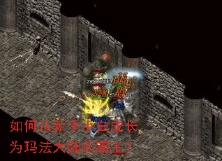 如何从新手小白成长为玛法大陆的霸主？