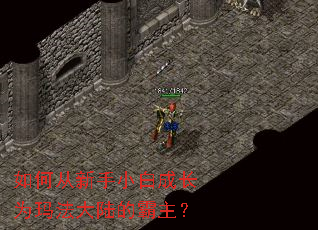 如何从新手小白成长为玛法大陆的霸主？